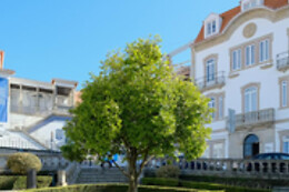 Bemyguest Viseu