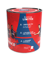 PSG Collector - Match & Stadium Tour - Duo
