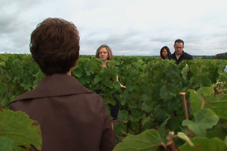 Dégustation au Domaine du Viel Orme à Saint-Julien-de-Chédon (41)
