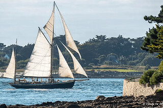 Demi-journée à bord d'un voilier centenaire près de Vannes (56)