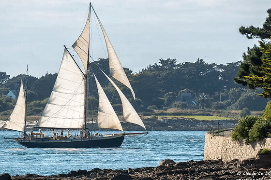 Demi-journée à bord d'un voilier centenaire près de Vannes (56)