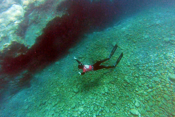 AVENTURA EN CANARIAS - photo 28