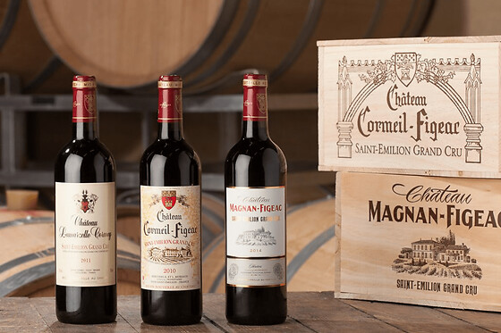 Visite et dégustation au Château Cormeil-Figeac (33)