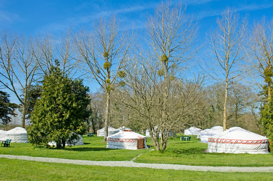 Village de yourtes - photo 18