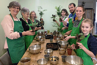 Atelier kokedama parent/enfant à Bordeaux (33)