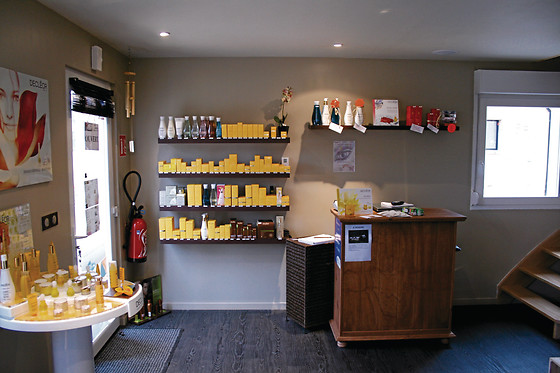Zen Institut - photo 7