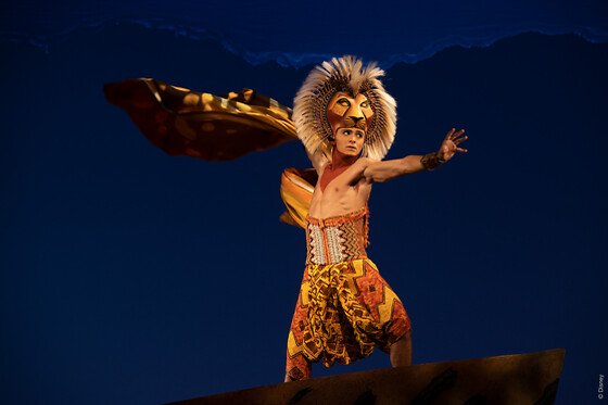Le Roi Lion - 1 Place