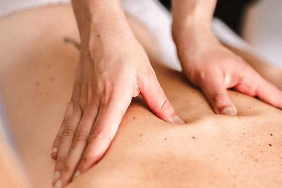 Massage Californien près de Toulouse (31)