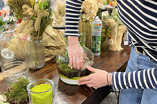 Atelier terrarium à Pontoise (95)