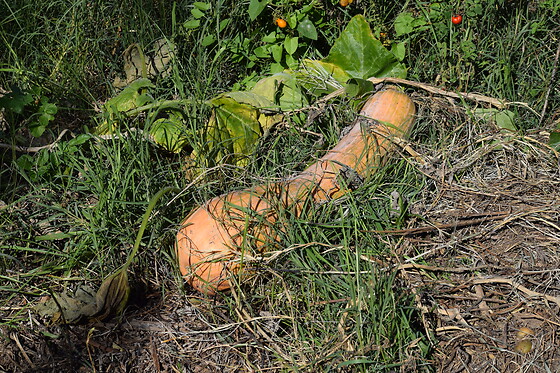 Domaine les Cascades - photo 3