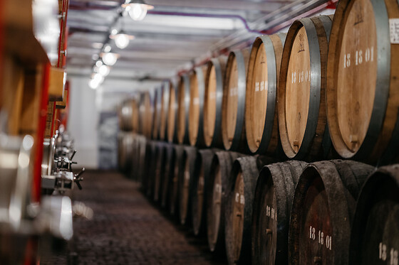 Brasserie Timmermans - photo 10