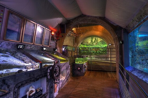 Billet pour l'Aquarium de Limoges (87)