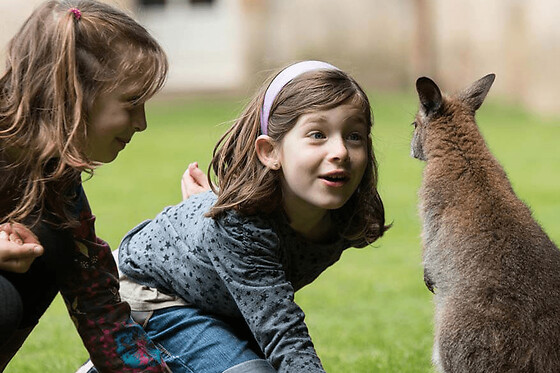 Billet pour le Parc animalier et botanique de Branféré (56)