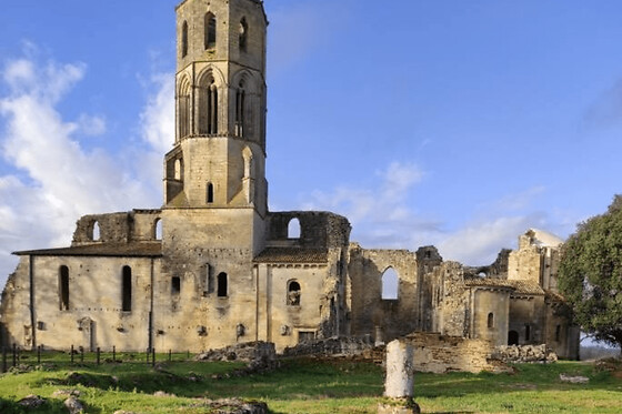 Billet pour l'Abbaye de La Sauve-Majeure (33)