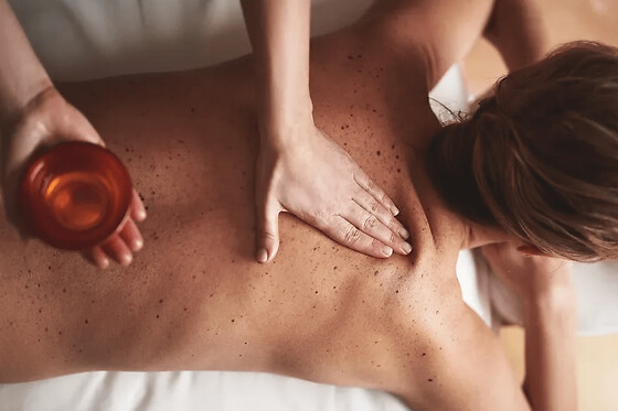 Mini-cure ayurvédique sérénité à Blain (44)