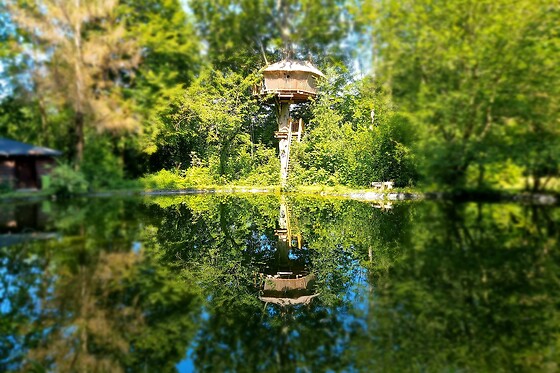Domaine de Wail - photo 33