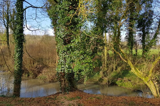 Domaine de Wail - photo 19