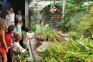 Billet pour Micropolis - cité des insectes près de Millau (12)
