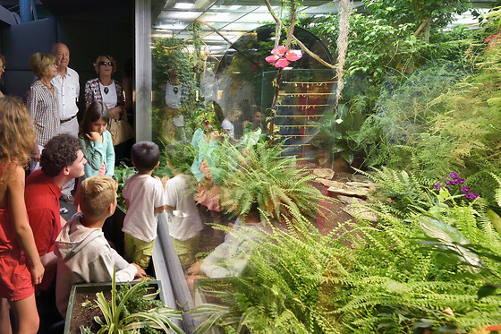 Billet pour Micropolis - cité des insectes près de Millau (12)