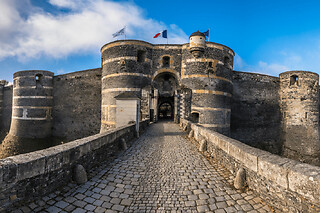 Billet pour le Château d'Angers (49)