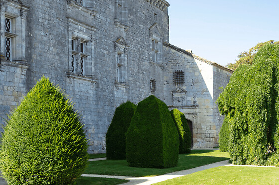 Billet pour le Château de Gramont (82)