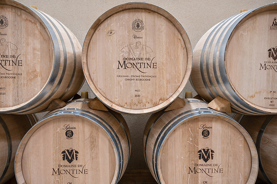 Dégustation de vin pour 2 au Domaine de Montine à Grignan (26)