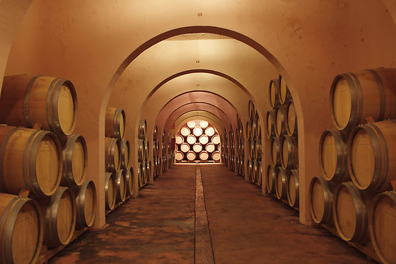 BODEGA LAS VIRTUDES - photo 0