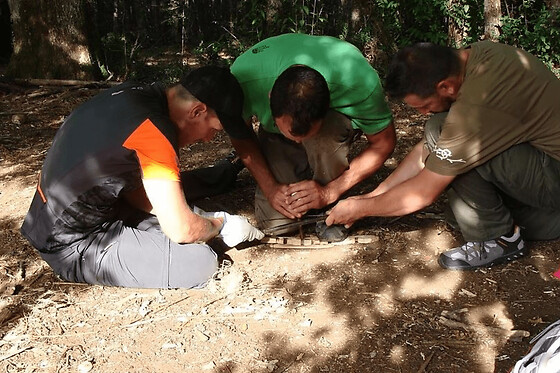 Stage de survie en milieu forestier proche de Bordeaux