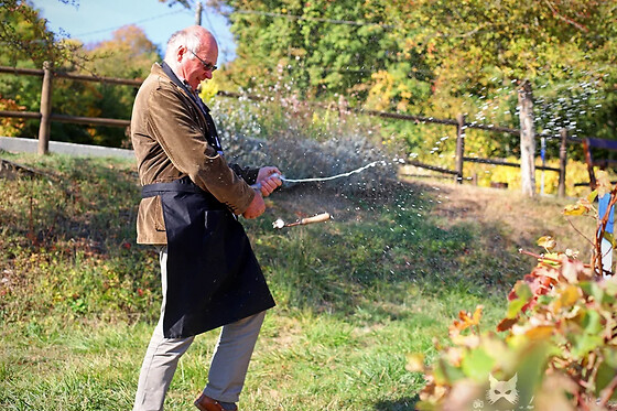 Balade champenoise avec dégustation près d'Epernay (51)