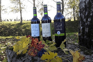 Visite et initiation à la dégustation au Château Les Maubats