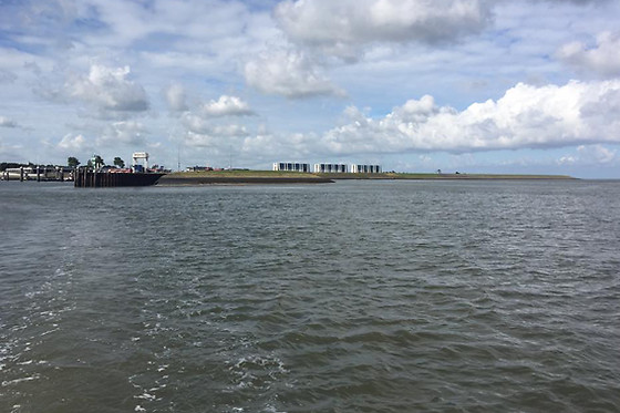 Wadlopen Pieterburen - photo 2