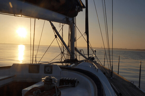 Croisière 