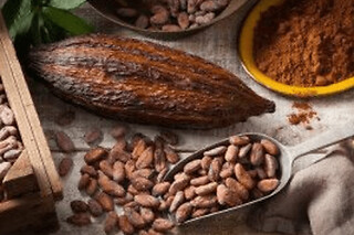 Atelier dégustation de chocolat à Paris 2ème