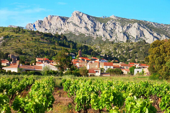 Dégustation de vins à proximité de Perpignan (66)