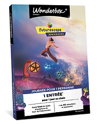 Futuroscope - Journée pour 1 personne
