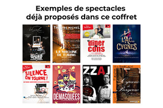 Théâtre, concerts & visites - Sortie culturelle pour 4 personnes