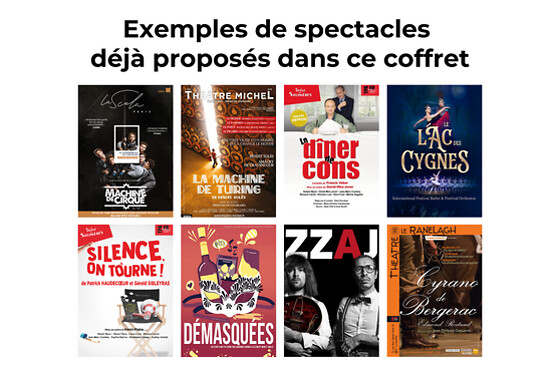 Théâtre, concerts & visites - Sortie culturelle pour 4 personnes