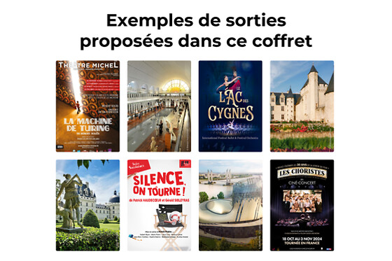 Joyeux Noël culturel - Sortie culturelle pour 4
