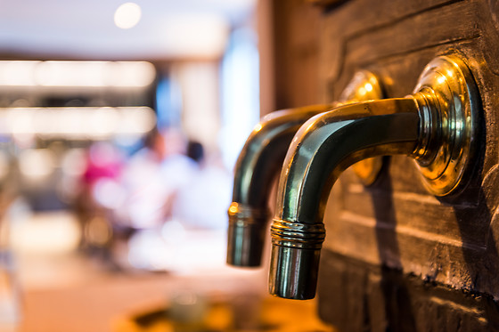 In den Bonten Os - photo 26