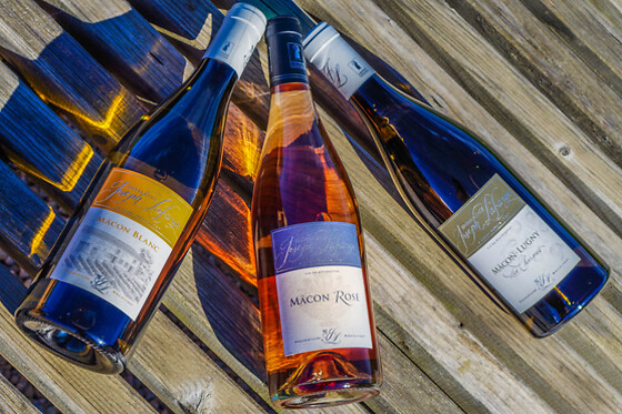 Domaine Joseph Lafarge - photo 15