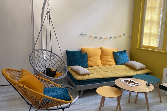 Troyes petits chats - photo 2
