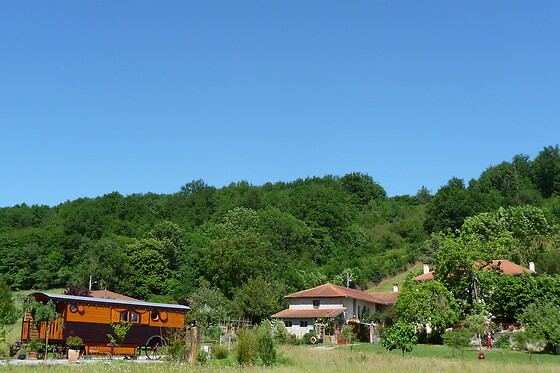 Au Coeur du Bois - photo 9