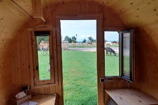 Séjour pour deux à la Ferme équine La Ravena à Dampierre-lès-Conflans (70)