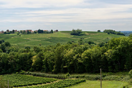 LES CABANES DES BENAUGES