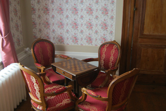 Château de Moulin le Comte - photo 3