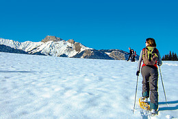 Montagne Mélézin