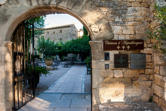Château Hôtel d'Arpaillargues - photo 13