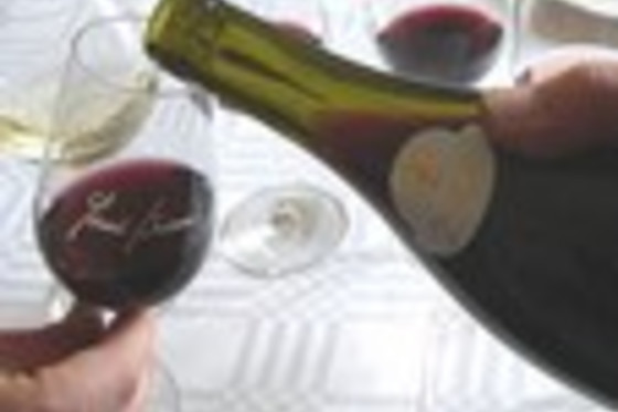 Domaine Brisson - photo 3