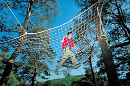 Saint Nectaire Aventure