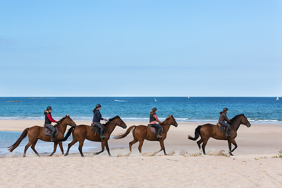 Sables d'Or Equitation - photo 8